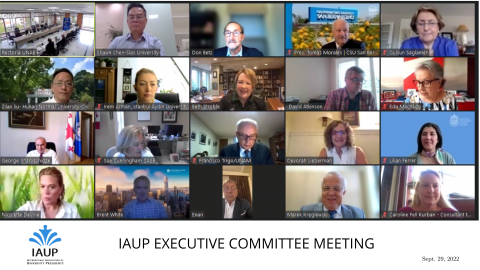 iaup-executive-committee-meeting